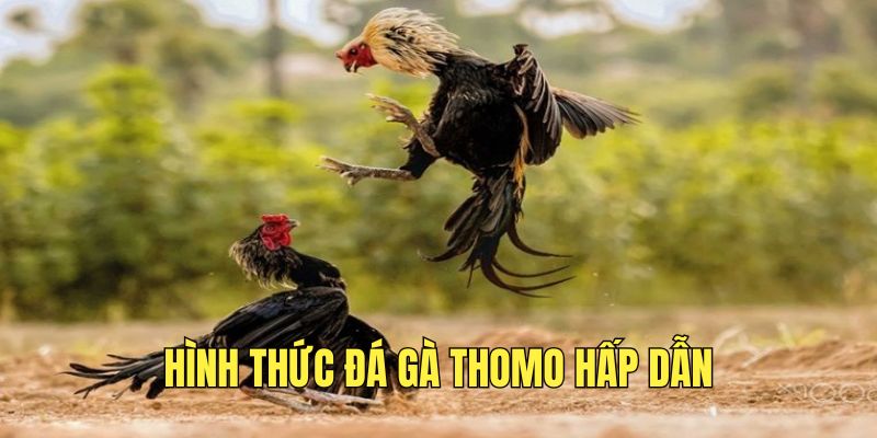 hinh-thuc-dau-ke-thomo-pho-bien-nhat-hien-nay