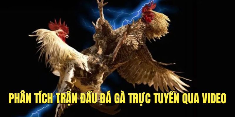 Phân tích trận đấu để nâng cao khả năng phán đoán chính xác