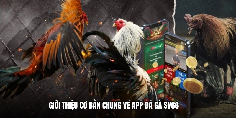 app-da-ga-online-gioi-thieu