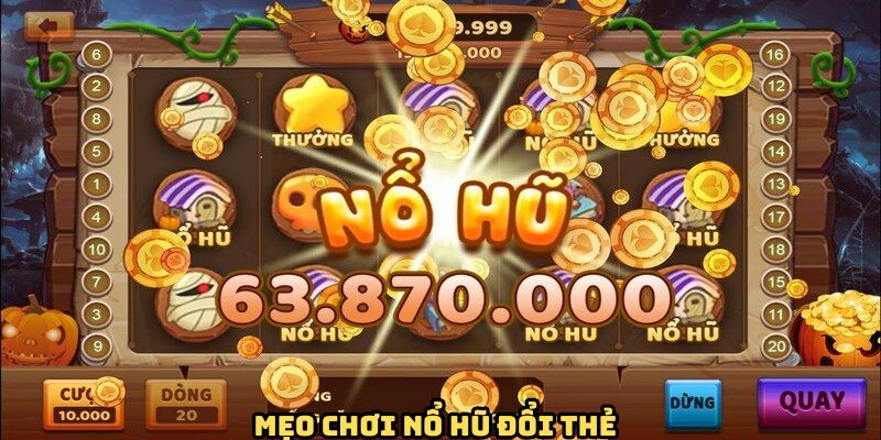 bat-mi-meo-quy-hu-cuc-hay-tu-cao-thu