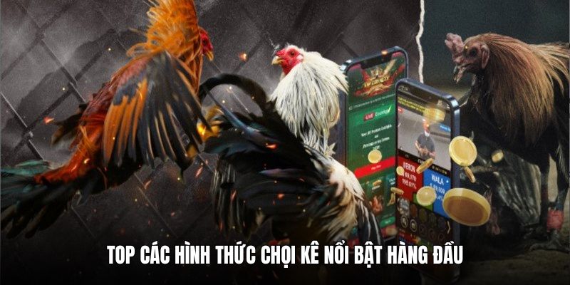 da-ga-cam-67-cac-hinh-thuc