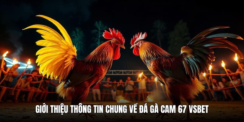 da-ga-cam-67-gioi-thieu