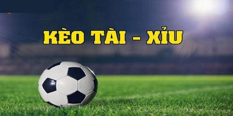 tim-hieu-ve-keo-tai-xiu